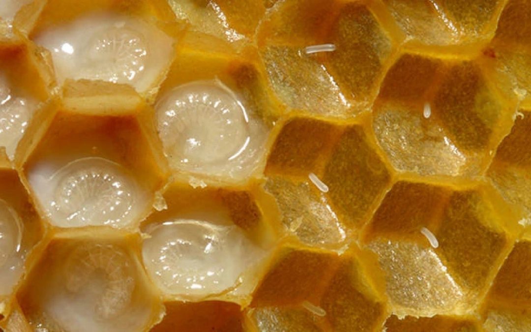 ROYAL JELLY: THE NATURAL ELIXIR LEADING SKINCARE